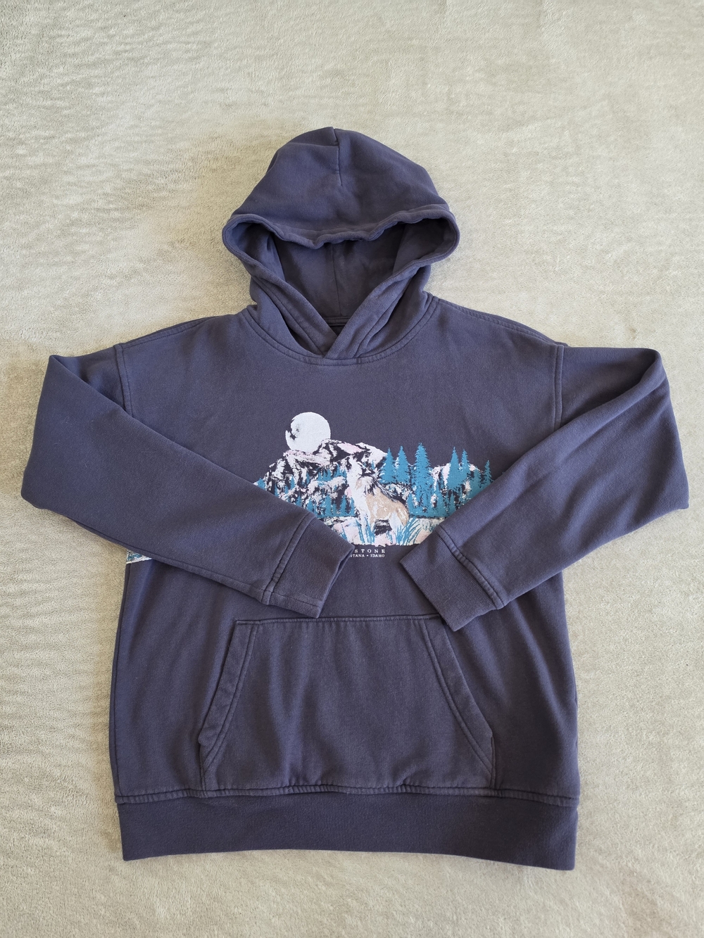 Boys Hooded Pullover Jacket in Heather Charcoal with Yellowstone Forest Graphic